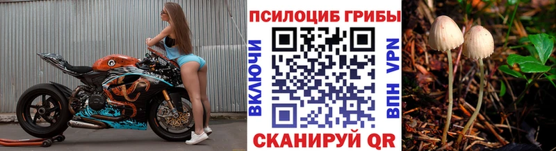купить наркотик  Кологрив  Галлюциногенные грибы Cubensis 